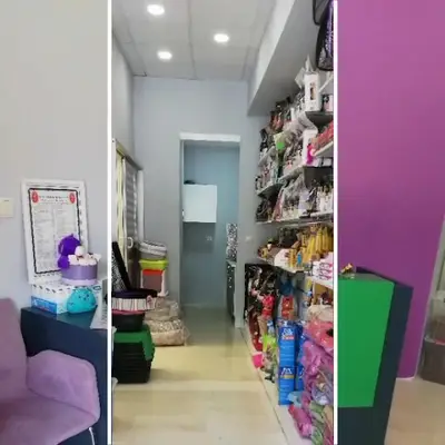 SEVİMLİ PATİLER VETERİNER KLİNİĞİ