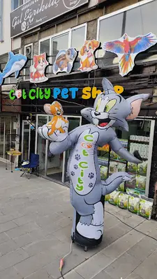 CAT CİTY PETSHOP