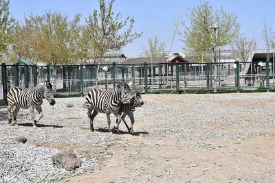 Kayseri Hayvanat Bahçesi fotoğrafı