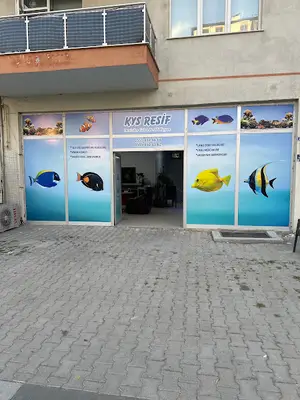 Kys Resif
