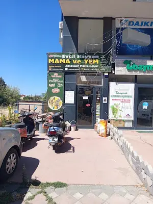 cici petshop renkmar online