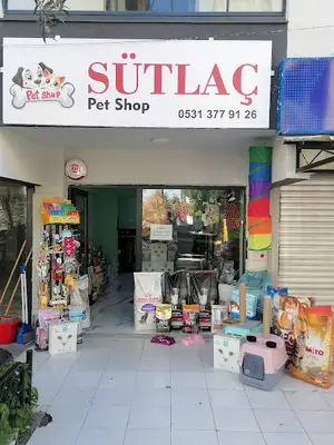 Sütlaç petşhop fotoğrafı
