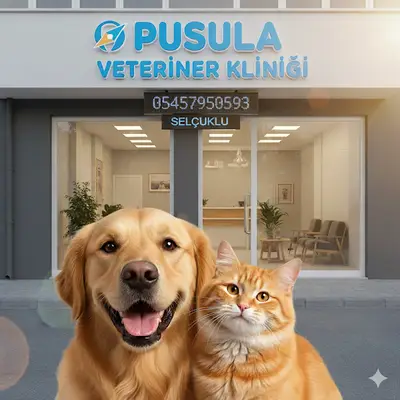 Pusula Veteriner Kliniği fotoğrafı