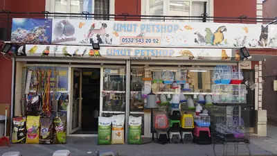 Umut Petshop