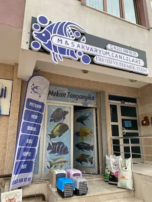 M&S Akvaryum Canlıları Üretim Ve Tedarik Tesisi - MONLİNE fotoğrafı