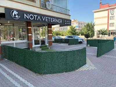 Nota Veteriner Kliniği fotoğrafı