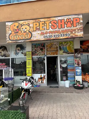 Tüylü pet shop fotoğrafı