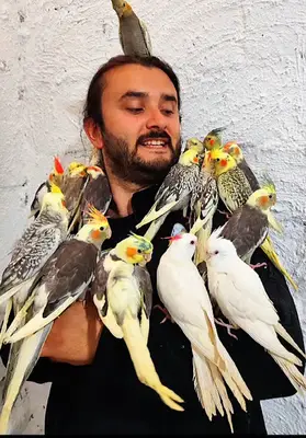 SULTAN PAPAĞANI DÜNYASI PETS fotoğrafı