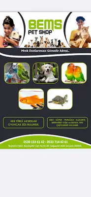 Bems petshop fotoğrafı