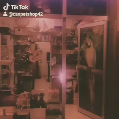 can akvaryum petshop fotoğrafı