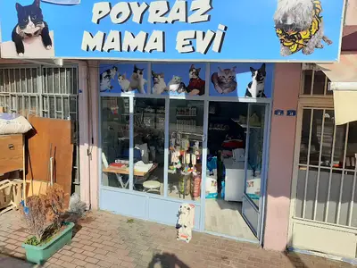 Poyraz Mama Evi
