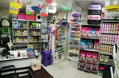 Sevda Petshop fotoğrafı
