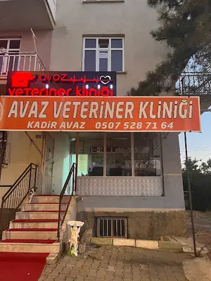 AVAZ VETERİNER KLİNİĞİ fotoğrafı