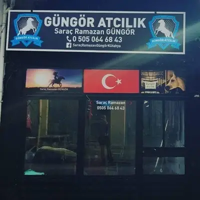 Güngör atçılık ve saraciye