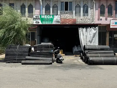 MEGA HAYVAN SULUKLARI fotoğrafı