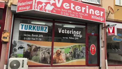 Turkuaz Veteriner Kliniği