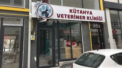 Can - Vet Veteriner Kliniği