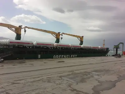 İskenderun Limanı Veteriner Sınır Kontrol Noktası Müdürlüğü