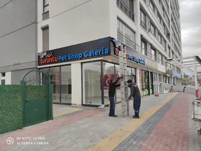 Turuncu akvaryum fotoğrafı