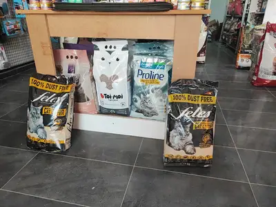 Patiköy Petshop