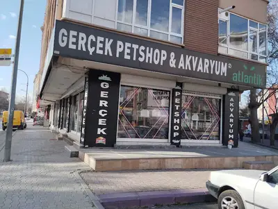 Gerçek PETSHOP 2 ihsaniye fotoğrafı