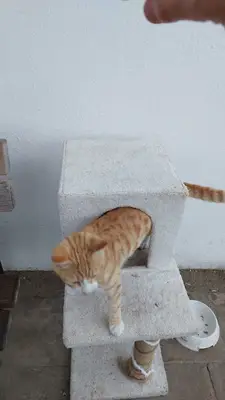 Turgutreis Geçici Bakımevi fotoğrafı