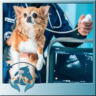 ARVEN VETERİNER KLİNİĞİ BODRUM