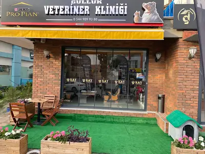 Güllük veteriner kliniği