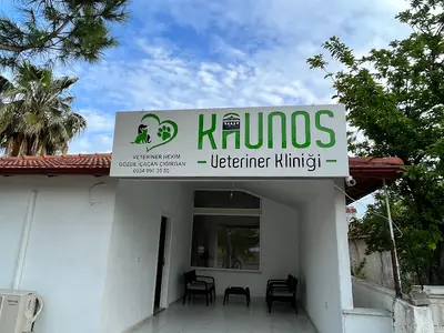 DALYAN KAUNOS VETERİNER KLİNİĞİ