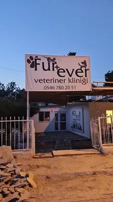 Fur + ever Veteriner Acil 7/24 Bodrum(Turgutreis)Köpek Kedi Evcil Hayvan Doktoru