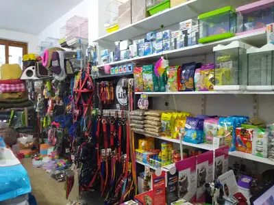 Palmiye Petshop
