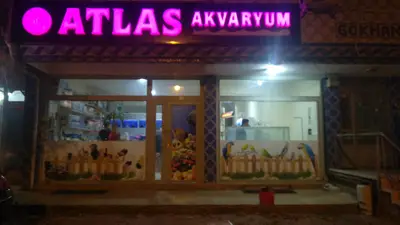 Selçuk Akvaryum fotoğrafı