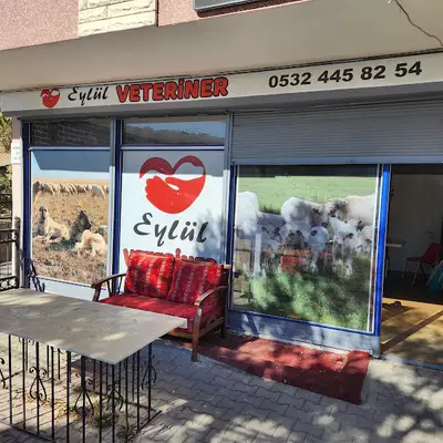 KAYAŞ EYLÜL VETERİNER KLİNİĞİ fotoğrafı