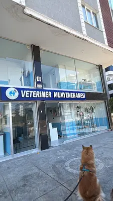 Kurtuluş Veteriner Muayenehanesi