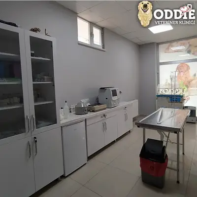 Oddie Veteriner Kliniği