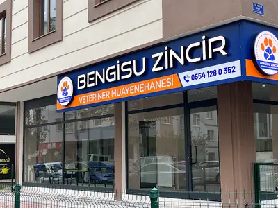 Bengisu Zincir Veteriner Muayenehanesi