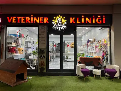 Lotus Veteriner Kliniği