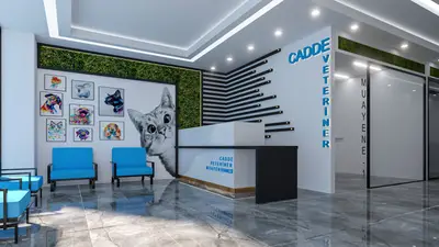 Cadde Veteriner Kliniği