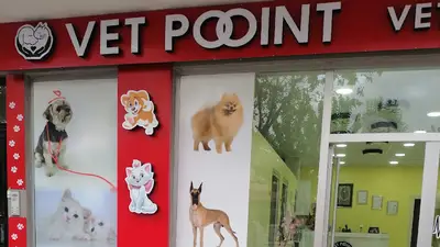 VETPOOINT Veteriner kliniği