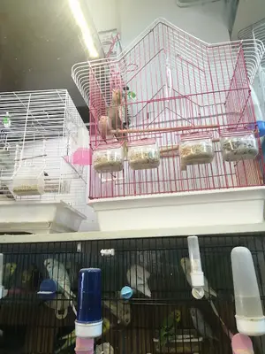Neşeli Pet Shop