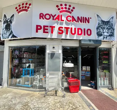 Pet Studio Atakum