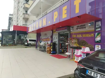 Yiyor