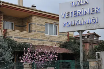 Allvet Veteriner Kliniği