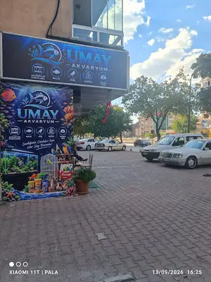UMAY AKVARYUM fotoğrafı