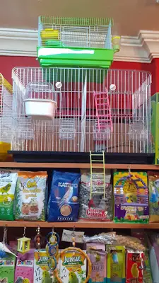 Çorlu Petshop Elif Petshop fotoğrafı