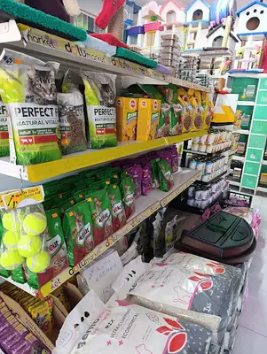 Ada petshop fotoğrafı