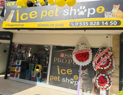 ICE PETSHOP SÜMERLER ŞUBE 2