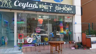 Ceylan Petshop | Ceylan Koltuk Döşeme fotoğrafı