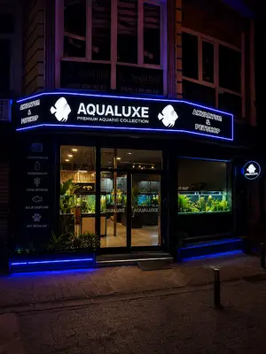 AQUALUXE Akvaryum ve Petshop fotoğrafı
