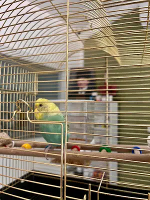 Tofuvet Veteriner Kliniği fotoğrafı